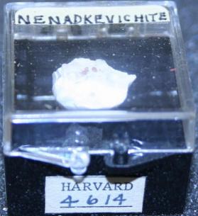 Nenadkevichite