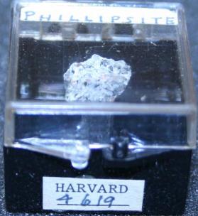 Phillipsite