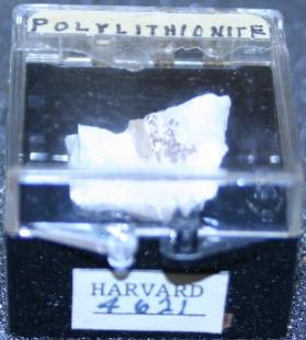 Polylithionite