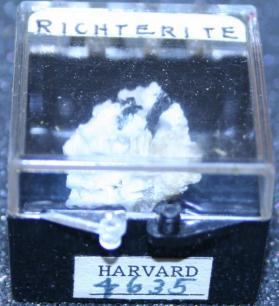 Richterite