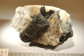 SCHORL