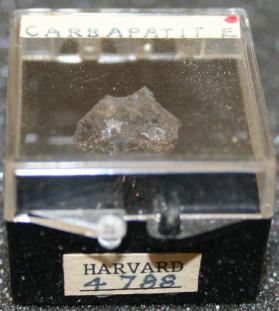carbonate-fluorapatite