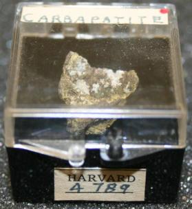 carbonate-fluorapatite