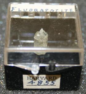 FLUORAPATITE
