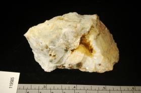 Whitlockite