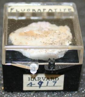 FLUORAPATITE