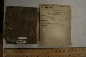 Limestone Granular
