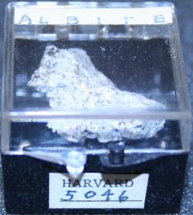 Albite
