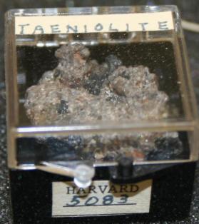Taeniolite