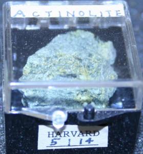 Actinolite