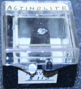 Actinolite