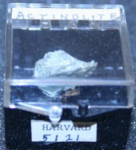 Actinolite
