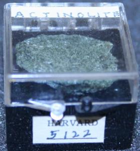 Actinolite