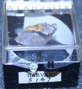 Alamosite