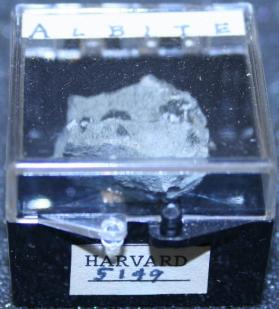 Albite