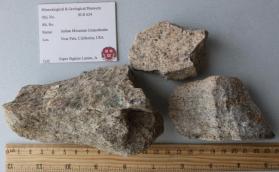 Indian Mountain Granodiorite