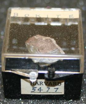 Bokite