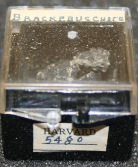 Brackebuschite