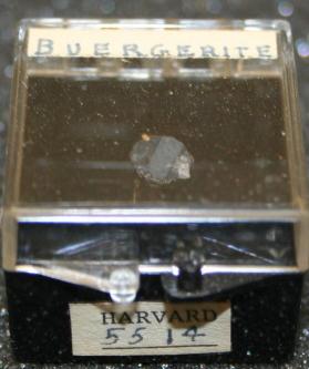 Buergerite