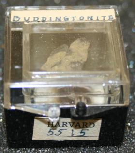 Buddingtonite