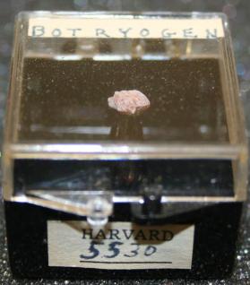 Botryogen