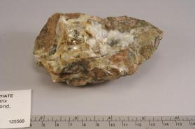 Triploidite