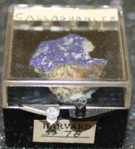 Callaghanite