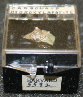 carbonate-hydroxylapatite