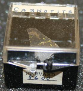 Carnotite