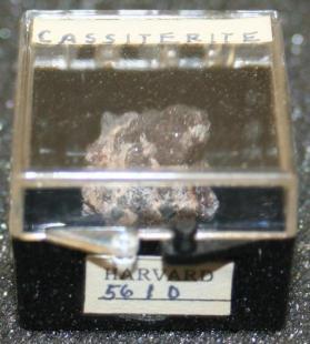 CASSITERITE