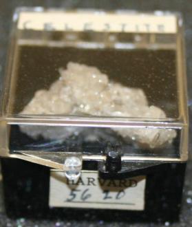 Celestine