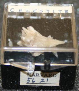 Celestine