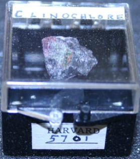 Clinochlore