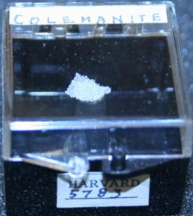 Colemanite