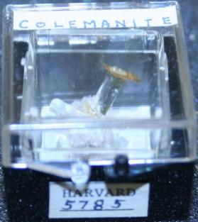 Colemanite