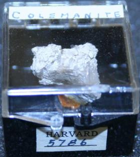 Colemanite