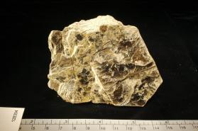 Muscovite