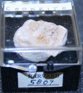 Cookeite