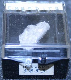 Creedite