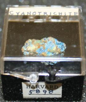 Cyanotrichite