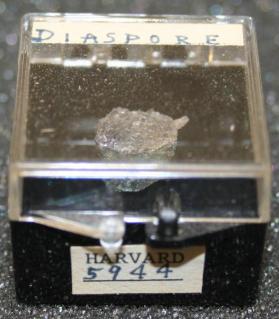 Diaspore