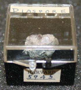 Diaspore