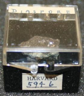Diaspore