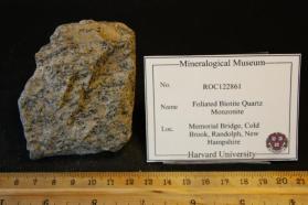 Foliated Biotite Quartz Monzonite