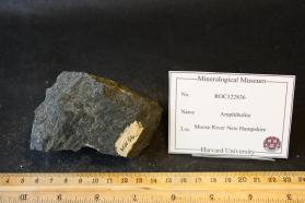 Amphibolite