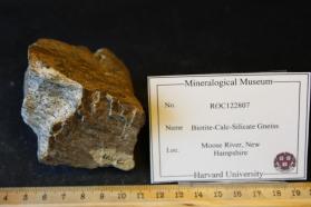 Biotite-Calc-Silicate Gneiss