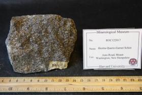 Biotite-Quartz-Garnet Schist