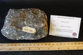 Muscovite Schist