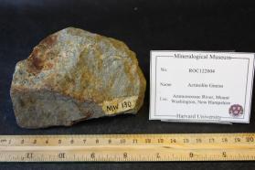 Actinolite Gneiss