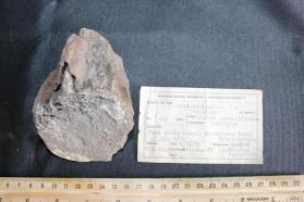 Littleton formation Quartzite